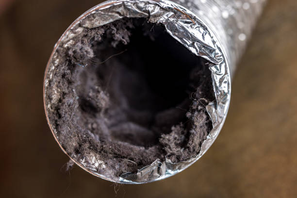 Best HVAC Air Duct Cleaning  in Dundee, NY