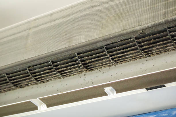 Best Ventilation Cleaning Services  in Dundee, NY