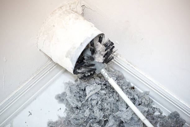 Best Dryer Vent Cleaning Services  in Dundee, NY